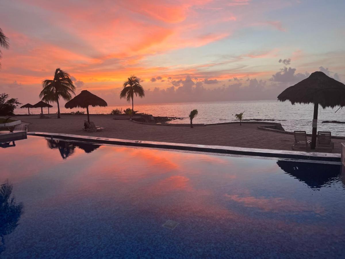 The Queen Of Cozumel Beach House -Luxury Beachfront Villa- Million Dollars View Εξωτερικό φωτογραφία