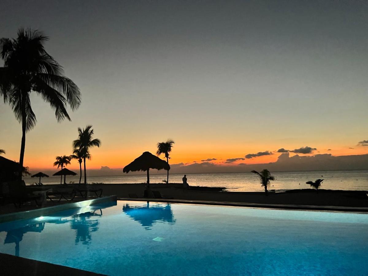 The Queen Of Cozumel Beach House -Luxury Beachfront Villa- Million Dollars View Εξωτερικό φωτογραφία